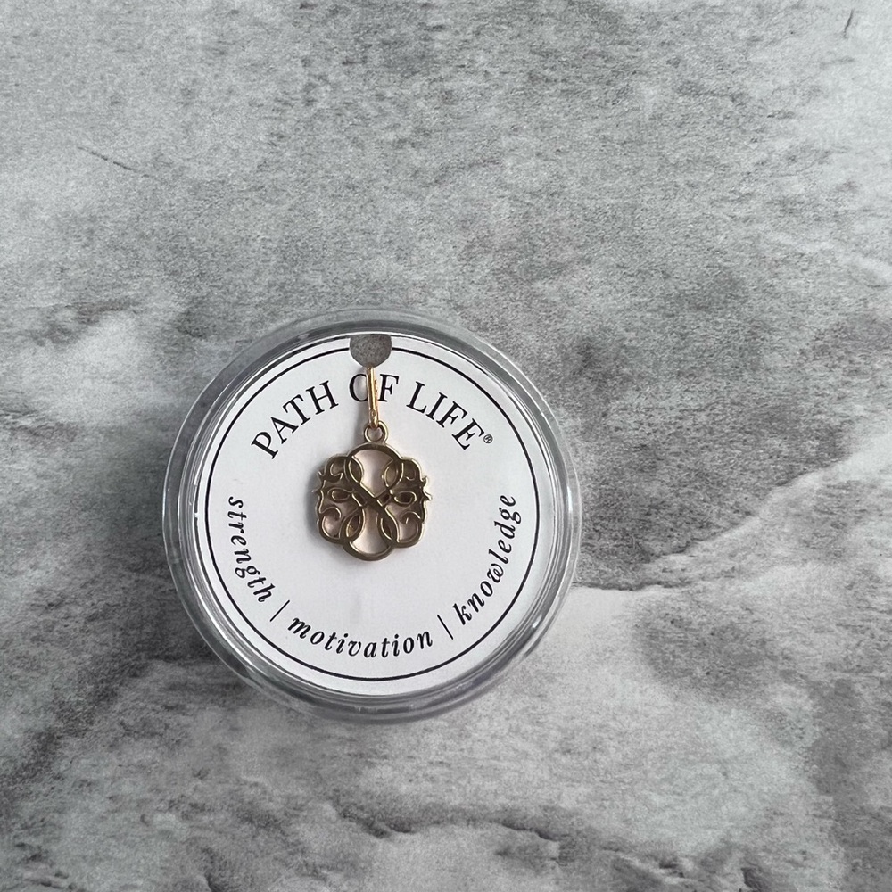 NEW Alex and Ani Gold Path of Life Pendant Chain Station 925 Silver NIB